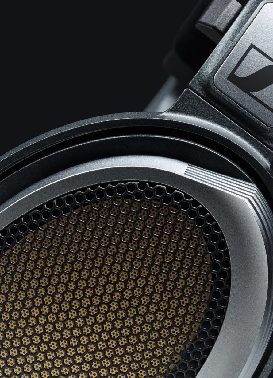 Momentum Sport Img 02