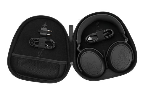 MOMENTUM 4 Wireless - DRAGON – Sennheiser UK - Sonova Consumer